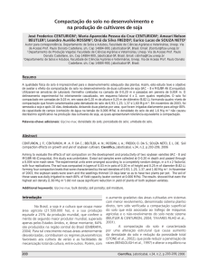 Compactação do solo no desenvolvimento e na
