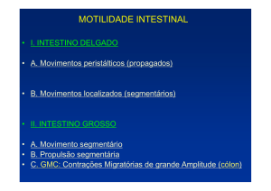 motilidade intestinal - ICB