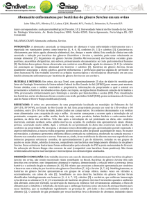 Abomasite enfisematosa por bactérias do gênero Sarcina em um