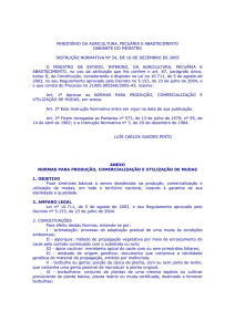 Instrução Normativa Nº 24, de 16 de dezembro de 2005