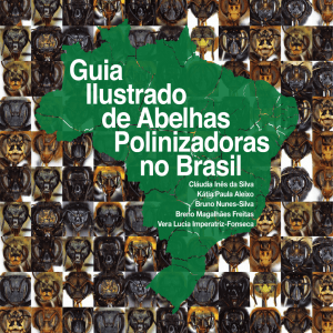 Guia Ilustrado de Abelhas Polinizadoras no Brasil – Parte 1