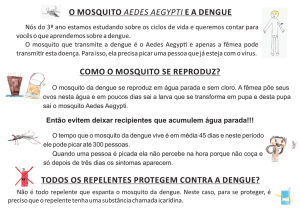 o mosquito e a dengue aedes aegypti como o mosquito se reproduz?