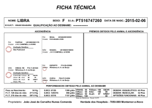 Ficha Técnica