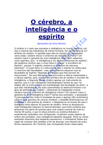 O c&eacute;rebro, a intelig&ecirc;ncia e o esp&iacute;rito