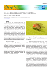 2010: um século de drosophila na genética.