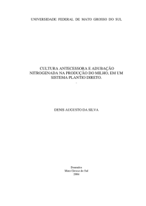 cultura antecessora e adubação nitrogenada na produção do milho