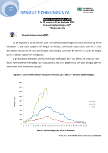 DENGUE E CHIKUNGUNYA