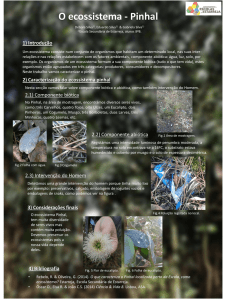 2) Caracterização do ecossistema pinhal