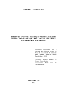 estudo do efeito da dessorção atômica induzida por luz - udesc