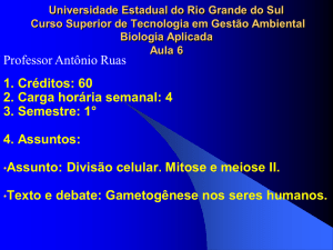 6. Etapas da meiose - Professor Antônio Ruas
