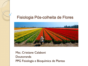 Fisiologia Pós-colheita de Flores