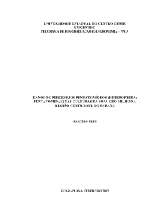 Dissertação em PDF