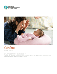 C&eacute;rebro - Enciclop&eacute;dia sobre o Desenvolvimento na Primeira Inf&acirc;ncia