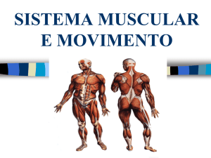 sistema muscular e movimento
