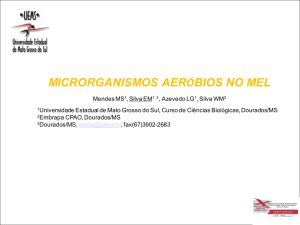 MICRORGANISMOS AERÓBIOS NO MEL