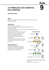 Aula 09