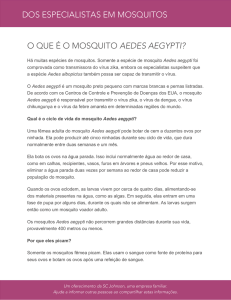 dos especialistas em mosquitos o que é o mosquito