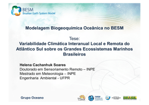 Modelagem Biogeoquímica Oceânica no BESM Tese: Variabilidade