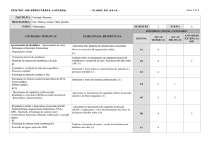 Plano de Aula