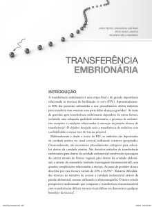 transferência embrionária - Pró