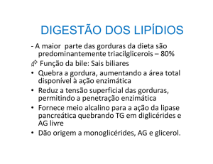digestão dos lipídios
