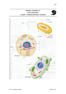 Biologia e Geologia (1) Ficha Informativa A célula – Unidade estr