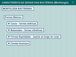 CARACTERÍSTICAS GERAIS DAS BACTÉRIAS (Morfologia)