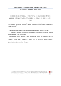 microbiota bacteriana conjuntival de felinos domésticos