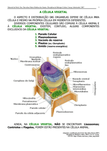 TEXTO-98-A célula vegetal-2007