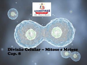 Divisão Celular – Mitose e Meiose Cap. 8