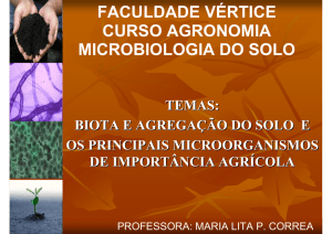 faculdade vértice curso agronomia microbiologia do solo