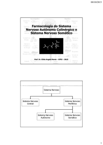 Farmacologia do SNA Colinérgico - ICB