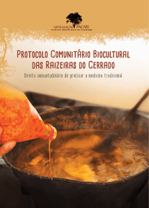 Protocolo Comunitário Biocultural das Raizeiras do Cerrado