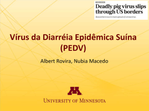 Vírus da Diarréia Epidêmica Suína (PEDV)