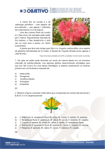 Galinsoga parviflora – uma espécie de