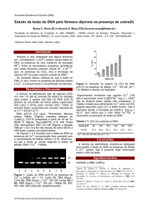 Estudo da lesão do DNA pelo fármaco dipirona na presença de