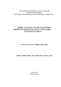 modelagem das vias de transporte hídrico da raiz em plantas