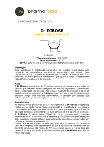 d- ribose - Pharmakon