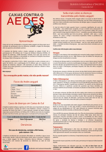 Boletim Informativo n° 04/2016