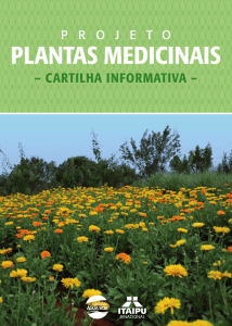 Cartilha Projeto Plantas Medicinais