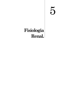 Fisiologia Renal.