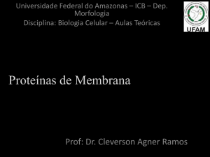 - Prof. Dr. Cleverson Agner Ramos