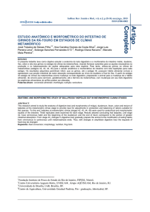 Estudo anatômico e morfométrico do intestino de girinos da