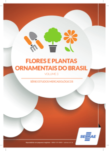 flores e plantas ornamentais do brasil