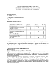 Ementa 1º Semestre