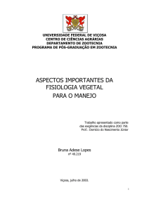 Aspectos importantes da fisiologia vegetal para o manejo