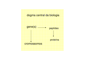 dogma central da biologia gene(s) cromossomos