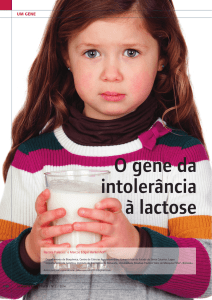 O gene da intolerância à lactose