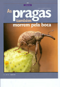 A digestão dos insetos - Revista Pesquisa Fapesp