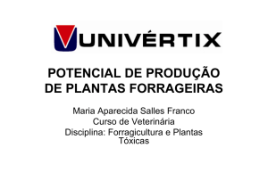 potencial de produção de plantas forrageiras